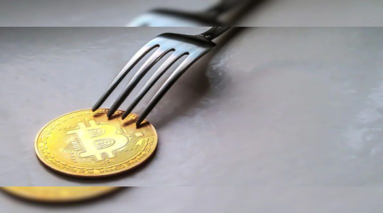 Cryptocurrency forks